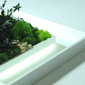 Envie de faire rentrer la nature chez vous ?